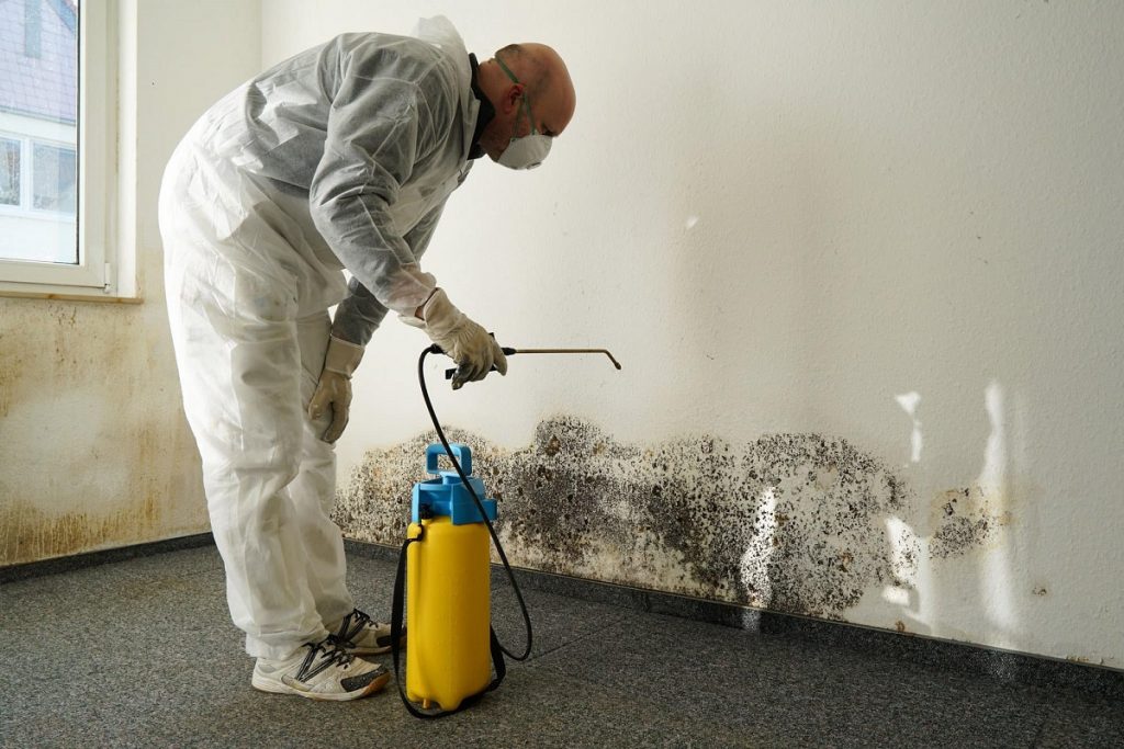 Mold Removal & Remediation